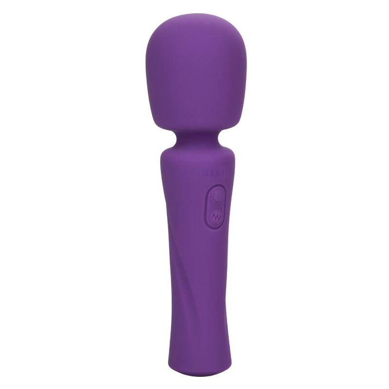 Stellaire Paarse Massager