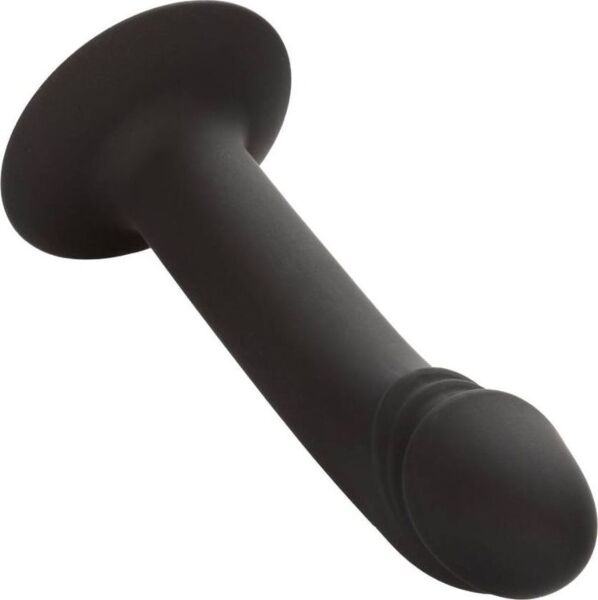 Anale dildo CalExotics Curved Anal Stud met gebogen top en basis met zuignap