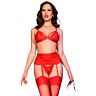 Lingerieset Chilirose CR 4895 met vijf delen