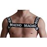 Arnes Hombre MACHO ARNÉS DOBLE | Talla única y ajustable
