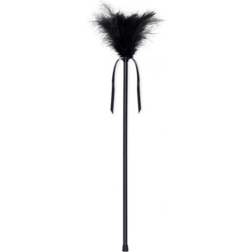 Plumero SECRETPLAY 40 cm met plumes