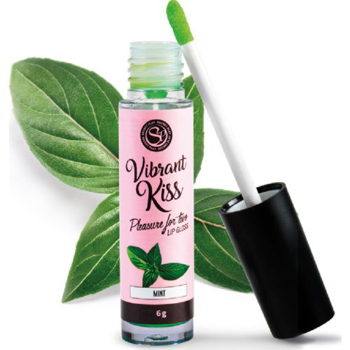 SECRETPLAY Vibrant Kiss lipgloss met vibratie