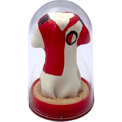 Preservatief CONDOMERIE Feyenoord Handgeschilderd