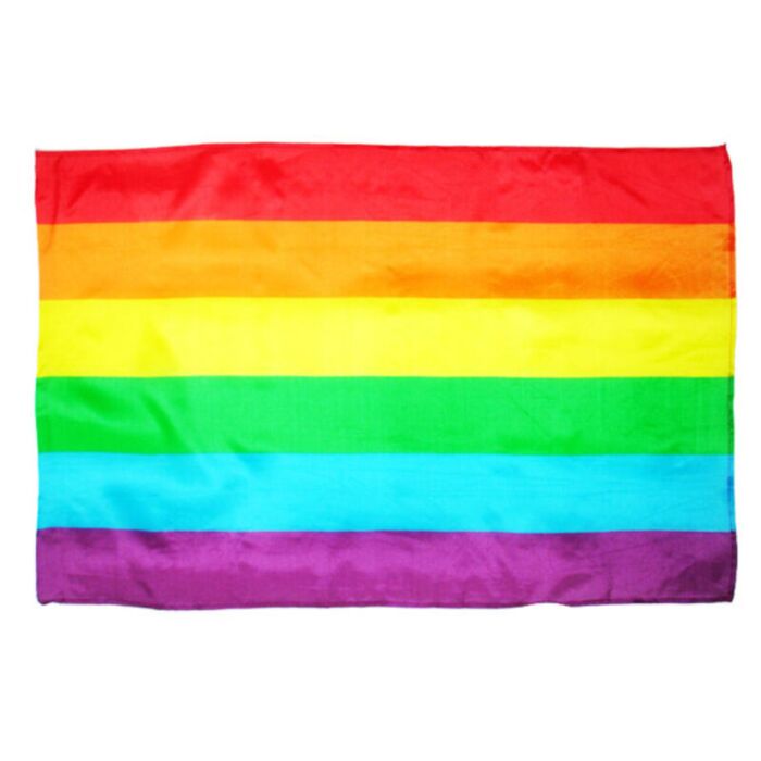PRIDE Medium Vlag | Bandera del Arco Iris voor Feestelijkheden