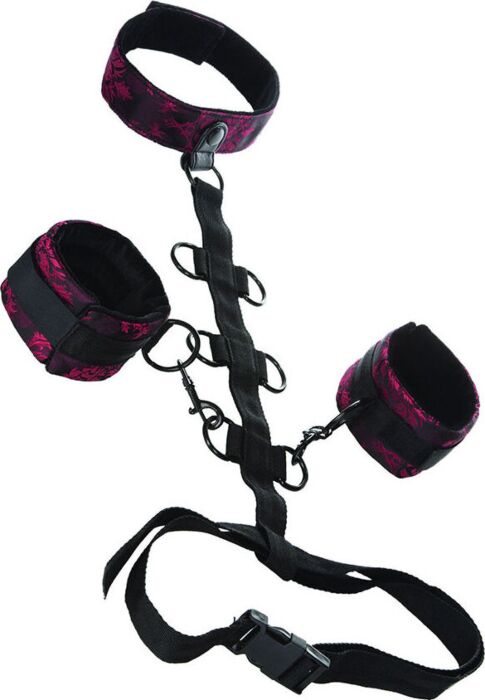 Collar con restricciones para el cuerpo Collar con restricciones para el cuerpo