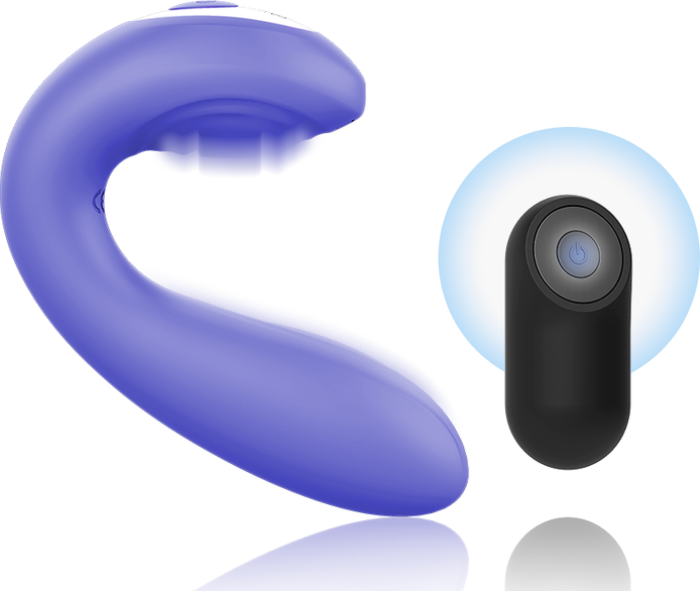 Control Pulsador Mr. Boss