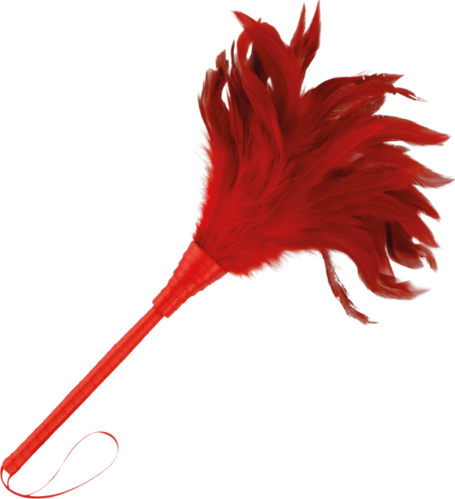 Bondage Darkness Rode Pluma 24 cm Bondage Darkness Rode Pluma 24 cm
