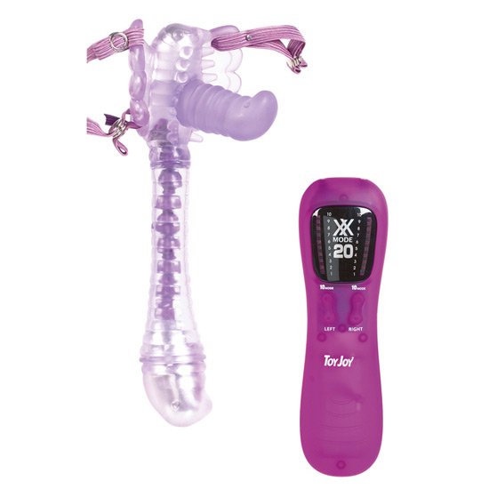 Dazzling dragon fly exciting